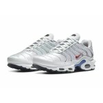 Nike TN Air Max Plus "Euro Tour " - Görsel 4